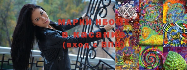 амф Покачи